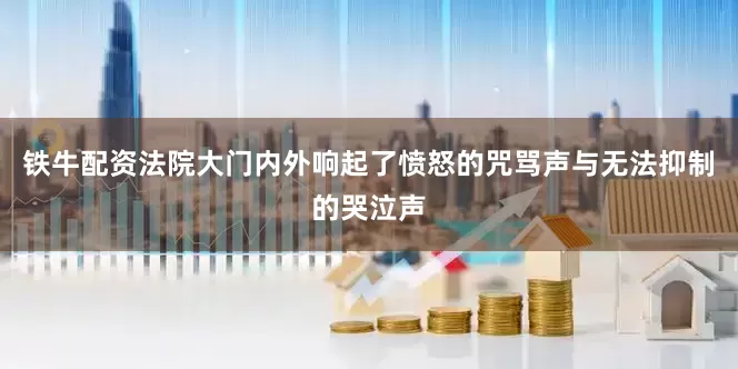 铁牛配资法院大门内外响起了愤怒的咒骂声与无法抑制的哭泣声