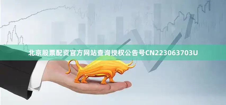 北京股票配资官方网站查询授权公告号CN223063703U