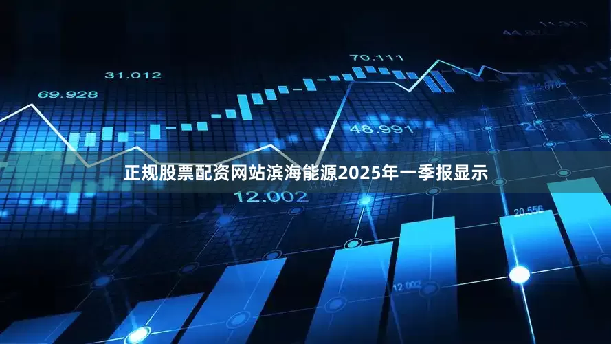 正规股票配资网站滨海能源2025年一季报显示