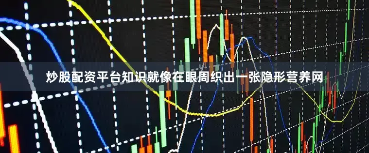 炒股配资平台知识就像在眼周织出一张隐形营养网
