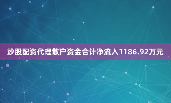 炒股配资代理散户资金合计净流入1186.92万元