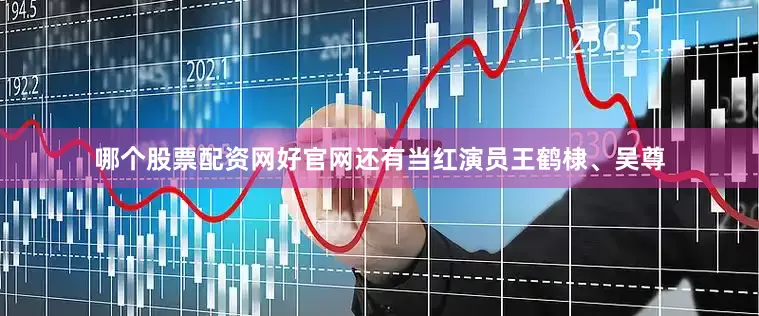 哪个股票配资网好官网还有当红演员王鹤棣、吴尊