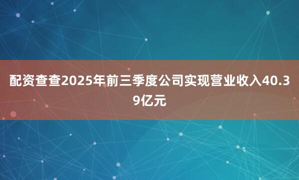 配资查查2025年前三季度公司实现营业收入40.39亿元