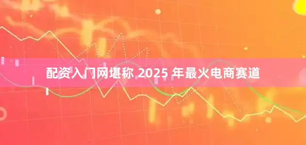 配资入门网堪称 2025 年最火电商赛道